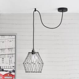 Wire Cage Lamp Shade - Stainless Steel For Hanging Pendant Light - thumbnail 2