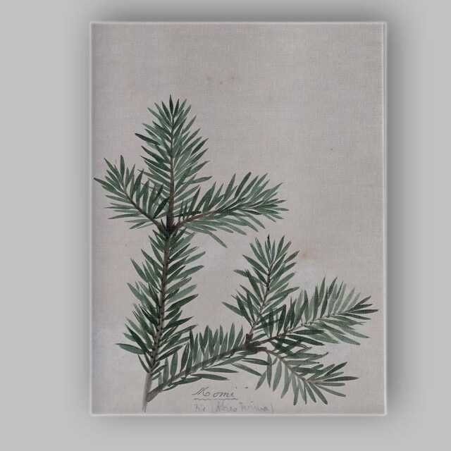Botanical Fern Branch Watercolour Nature Study Minimalist Canvas Wall Art Print Decor Picture Ready To Hang - image 1