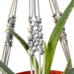 Gray Mini Macrame Plant Hanger 18 Inches 3 Mm Flower Pot Indoor Or Outdoor Decor Hanging Planter Wall Hanging Gift Idea Window Cord - thumbnail 3