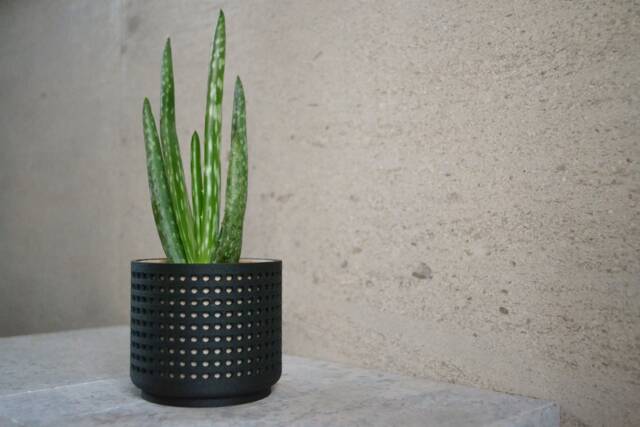 "Wood Modern Planter ""Perforated Black" - image 1