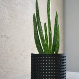 "Wood Modern Planter ""Perforated Black" - thumbnail 2