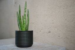 "Wood Modern Planter ""Perforated Black" - thumbnail 1