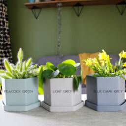 Personalised Wedding Day Hexagon Plant Pot - Cacti Gift Anniversary Present - thumbnail 3
