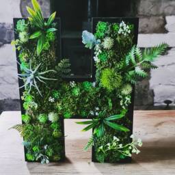 Faux Succulent Wall Letter Plant Decor Sign, Moss Art - 8 Inches/20cm - thumbnail 1