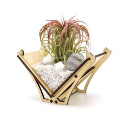 Laser Cut Wood Air Plant Holder - Modern Geometric Terrarium Decor - thumbnail 3