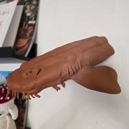 Wobbegong Shark Wall Mount - Animal Art Home Decor 3D Printed - thumbnail 3