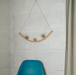 U Bend Wave Air Plant Hanger, Air Plant Hanger, Bent Wood Display, Wall Hanging, Hanging Planter, Display - thumbnail 1