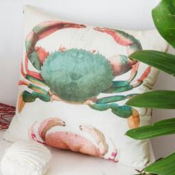 Crab Cushion 50 cm X With Vintage Scientific Illustration - thumbnail 3