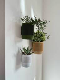Modern Minimalist Wall Planter, Indoor Mounted, Hidden Mount, Home Decor, Gift, 11 Colour Options, Drip Tray - thumbnail 1