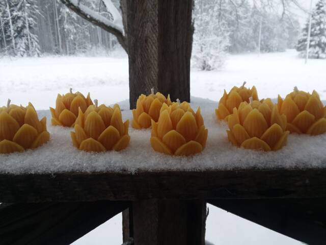 Beeswax Lotus Flower Candles - Set Of 8 - Michigan Made, Unscented - image 1