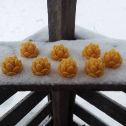 Beeswax Lotus Flower Candles - Set Of 8 - Michigan Made, Unscented - thumbnail 2