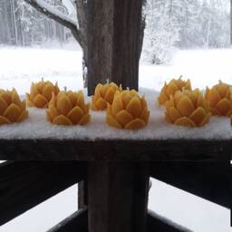 Beeswax Lotus Flower Candles - Set Of 8 - Michigan Made, Unscented - thumbnail 3