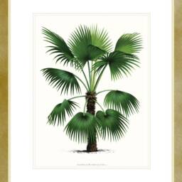 Palm Tree Art Print. Tropical Beach House Home Decor. Theme Bathroom. Coastal Living - thumbnail 2
