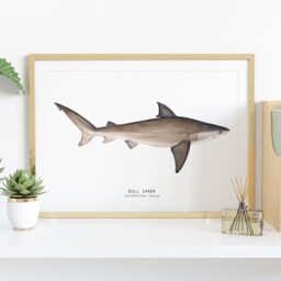 Bull Shark Hand Painted Watercolor Art Print - Oceanic Animals Poster Living Room, Bedroom D??cor Housewarming Gift Carcharhinus Leucas - thumbnail 2