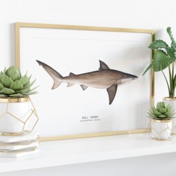 Bull Shark Hand Painted Watercolor Art Print - Oceanic Animals Poster Living Room, Bedroom D??cor Housewarming Gift Carcharhinus Leucas - thumbnail 3