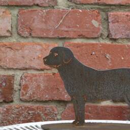Rusty Metal Labrador Garden Ornament, Dog Memorial Gift - thumbnail 3