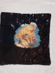 Mermaid Sequin Photo Pillow Case - thumbnail 1