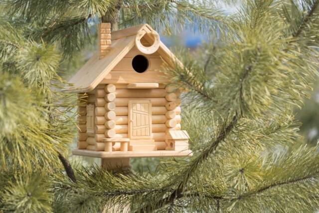 Beautiful Squirrel Feeder, Wooden Garden Decore, Personalized House, Home, Handmade Funny Feeder - image 1