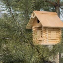 Beautiful Squirrel Feeder, Wooden Garden Decore, Personalized House, Home, Handmade Funny Feeder - thumbnail 2