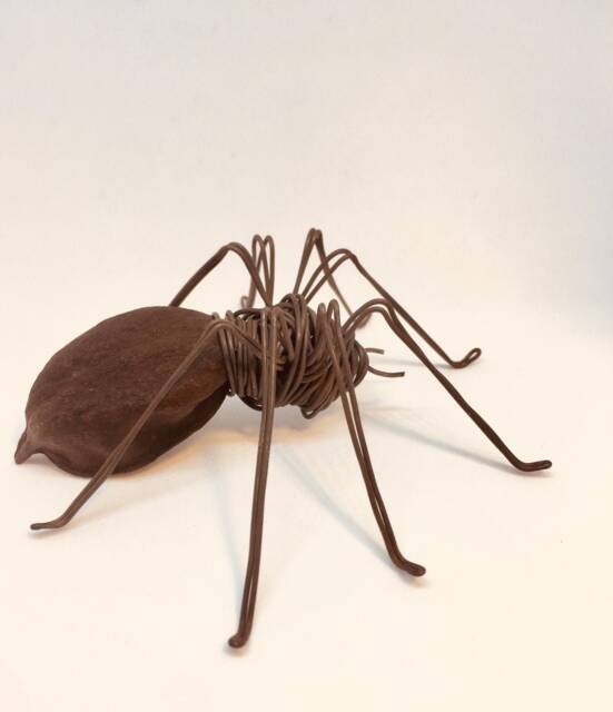 Wire Spider. Spider & Seed, Wire Spider With A Barcelona Tree Seed Casing. Halloween Decoration. Art - image 1