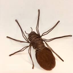 Wire Spider. Spider & Seed, Wire Spider With A Barcelona Tree Seed Casing. Halloween Decoration. Art - thumbnail 2
