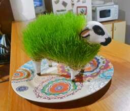 Ceramic Sheep Planter Grow Your Own Pet With Different Seeds, Great Gift Idea Handmade Animal, Bonsai Pot Flowers Black & White Bestseller - thumbnail 1
