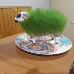 Ceramic Sheep Planter Grow Your Own Pet With Different Seeds, Great Gift Idea Handmade Animal, Bonsai Pot Flowers Black & White Bestseller - thumbnail 2