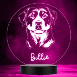 Rottweiler Dog Pet Silhouette Multicolour Personalised Gift Led Lamp Night Light - Bedroom