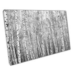 Black & White Birch Forest Canvas Abstract Woodland Wall Art For Home Office - thumbnail 1