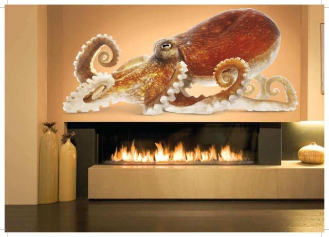Octopus Full Color Decal, Color Sticker, Wall Art Cn 039