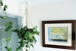 Macrame Plant Hanger Indoor Hanging Planter, Plants, Houseplants, Wall Vertical Garden Decor, Modern White Holder - thumbnail 1