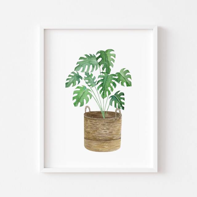 Monstera Plant Print Watercolour Green Leaves in Basket - Unframed - image 1