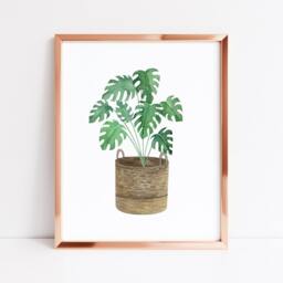 Monstera Plant Print Watercolour Green Leaves in Basket - Unframed - thumbnail 3