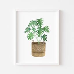 Monstera Plant Print Watercolour Green Leaves in Basket - Unframed - thumbnail 1