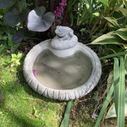 Reconstituted Stone Garden Log Style Bird Bath Top & Toad/Feeder Ornament - thumbnail 2