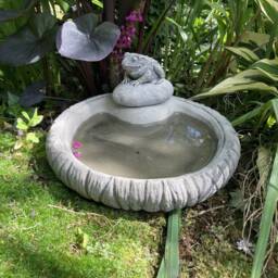 Reconstituted Stone Garden Log Style Bird Bath Top & Toad/Feeder Ornament - thumbnail 3