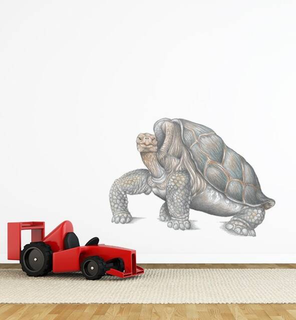Lonesome George The Tortoise Wall Sticker Decal - Kids Stickers, Animals Childrens Decals, Art, Room