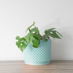 "Carolina Planter With Drainage & Saucer in Cotton Candy Blue, Lattice 3D-Printed Plant Pot, Small To Large Sizes 4"" 5"" 6"" 7"" 8" - thumbnail 3