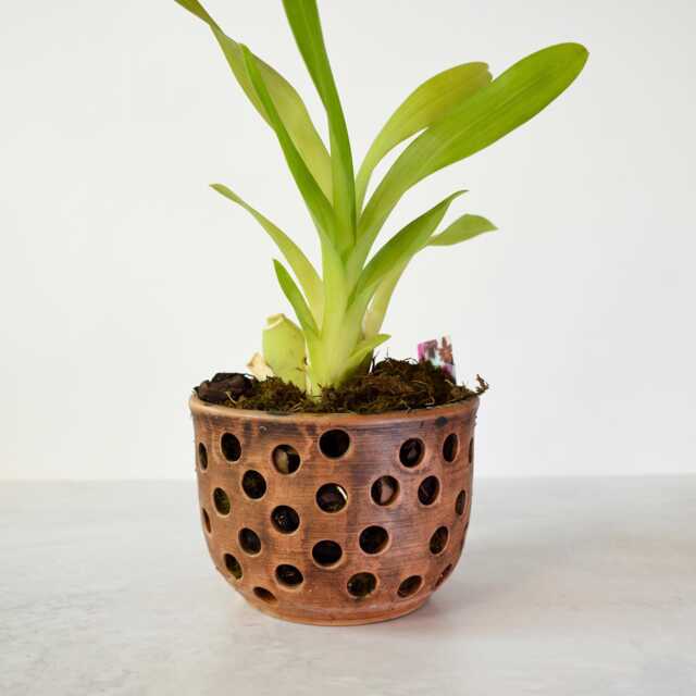 Small Ceramic Orchid Planter - 900 Ml/30.4 Fl Oz, Side Ventilation Holes - image 1