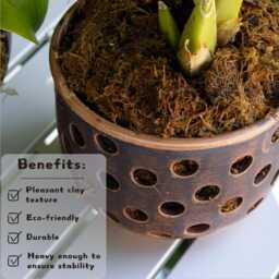Brown Ceramic Orchid Planter - 900 Ml/30.4 Fl Oz, Side Ventilation Holes - thumbnail 2