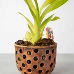 Small Ceramic Orchid Planter - 900 Ml/30.4 Fl Oz, Side Ventilation Holes - thumbnail 2