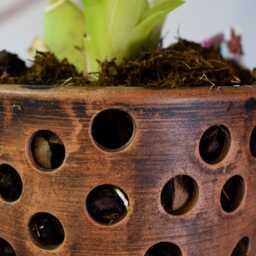Small Ceramic Orchid Planter - 900 Ml/30.4 Fl Oz, Side Ventilation Holes - thumbnail 4