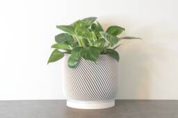 "Sierra Planter With Drainage & Saucer in White, Unique 3D-Printed Plant Pot, Small To Large Sizes 4"" 5"" 6"" 7"" 8" - thumbnail 1