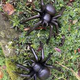 Pair Of Cast Iron Metal Spider Garden Ornaments - thumbnail 4