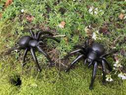 Pair Of Cast Iron Metal Spider Garden Ornaments - thumbnail 1