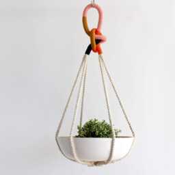 Color Block Macrame Plant Hanger 100% Cotton Rope, Holds 12 - thumbnail 3