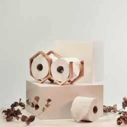 Wall Mount Toilet Paper Holder, Wood Tp Floating Storage Shelf For Multiple Rolls, Hanging Wooden Restroom Loo Roll Rack Mini Honeycomb