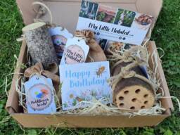 Happy Birthday Birds & The Bees Gift Set With Plantable Card - Eco Friendly Bee Hotel Gardener Wild Flower Seeds Bird Feeder