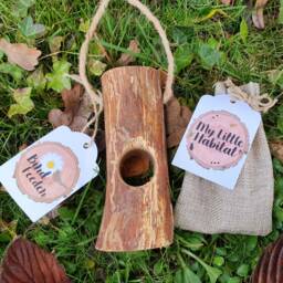 Happy Birthday Birds & The Bees Gift Set With Plantable Card - Eco Friendly Bee Hotel Gardener Wild Flower Seeds Bird Feeder - thumbnail 4