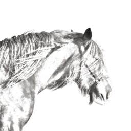 Shire - Wooden Stand For Candles/Pens With The Image Of A Horse New Collection - thumbnail 2